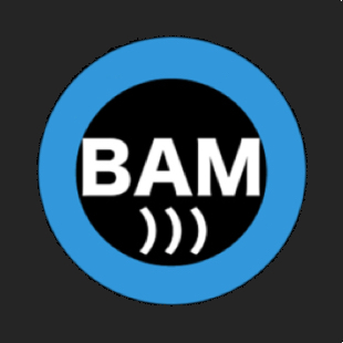BAM-Logo-1